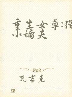 重生女尊:独宠小娇夫
