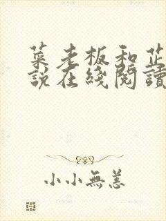 菜老板和芷姗小说在线阅读