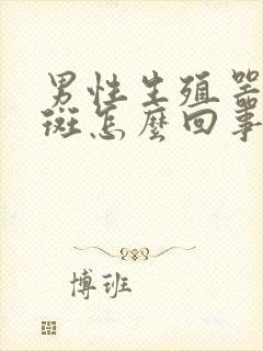 男性生殖器长红斑怎么回事