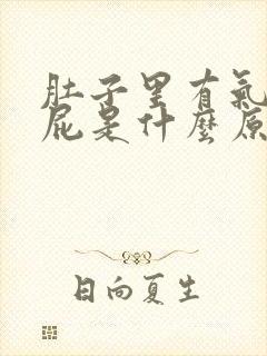 肚子里有气老放屁是什么原因封面