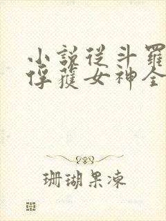 小说从斗罗开始俘获女神全文阅读封面