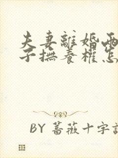 夫妻离婚两个孩子抚养权怎么判定