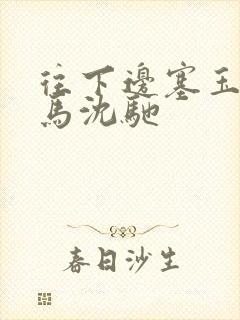 往下边塞玉器骑马沈驰封面