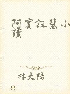 阿宾钰慧小说阅读