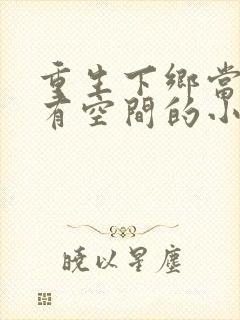 重生下乡当知青有空间的小说封面