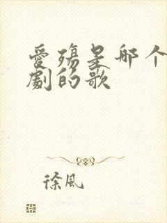 爱殇是哪个电视剧的歌