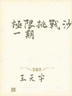 极限挑战沙溢那一期