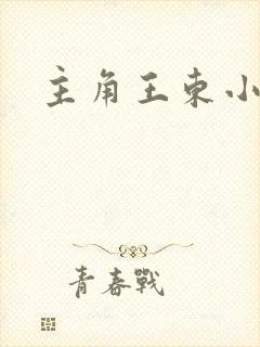 主角王东小说