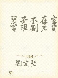 儿子不在家儿媳电视剧免费观看封面