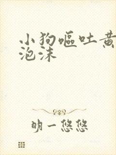 小狗呕吐黄水带泡沫封面
