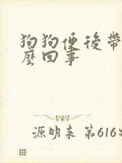 狗狗便后带血怎么回事封面