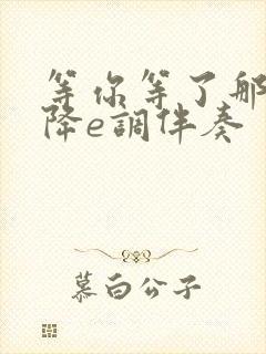 等你等了那么久降e调伴奏