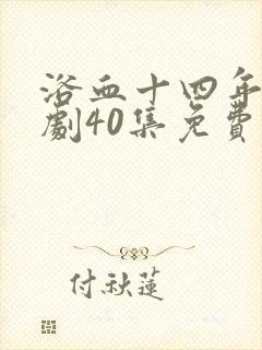 浴血十四年电视剧40集免费封面