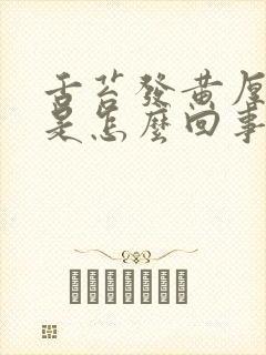 舌苔发黄厚口苦是怎么回事