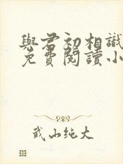 与君初相识全文免费阅读小说