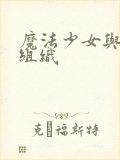 魔法少女与邪恶组织