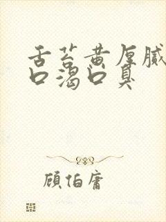 舌苔黄厚腻口干口渴口臭