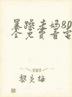 暴躁老妈80集全免费看电视剧