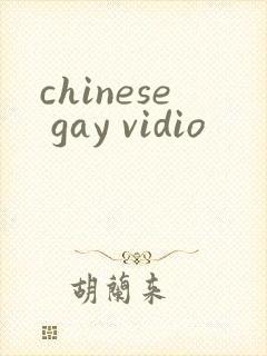 chinese gay vidio