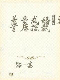 惹爱成婚·染指首席总裁封面