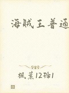 海贼王普通话封面