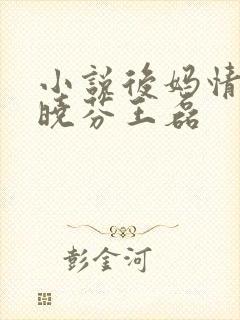 小说后妈情深杨晓芬王磊