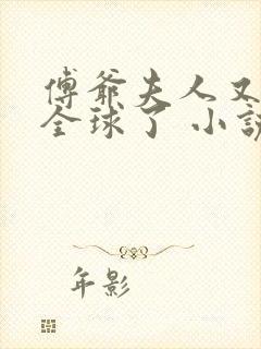 傅爷夫人又惊艳全球了 小说下载封面