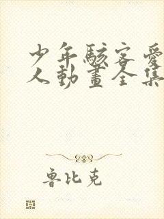 少年骇客爱表同人动画全集