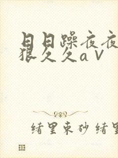 日日躁夜夜躁狠狠久久a∨