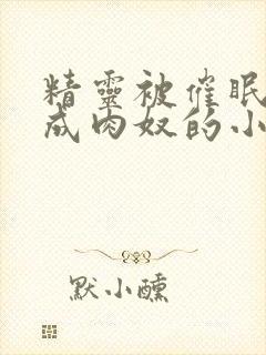 精灵被催眠调教成肉奴的小说