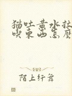 猫吐黄水拉稀不吃东西怎么办