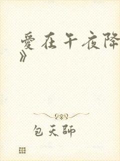 爱在午夜降临前》封面