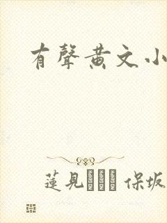 有声黄文小说