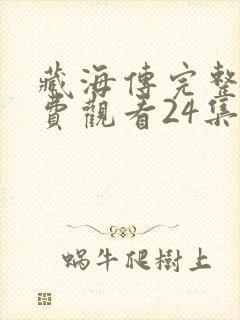 藏海传完整版免费观看24集封面