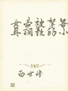 女帝被拿各种刑具调教的小说