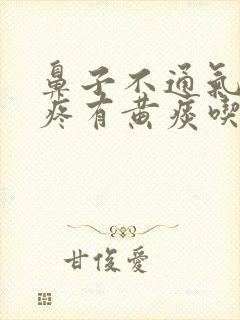 鼻子不通气嗓子疼有黄痰吃什么药封面