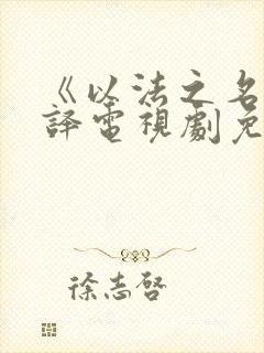 《以法之名》张译电视剧免费观看全部