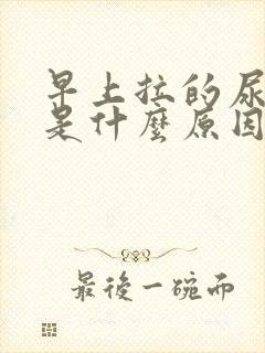 早上拉的尿很黄是什么原因