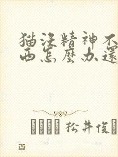 猫没精神不吃东西怎么办还呕吐