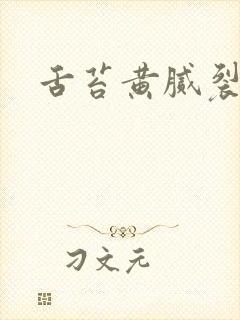 舌苔黄腻裂纹舌