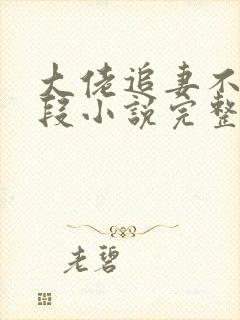 大佬追妻不择手段小说完整版封面