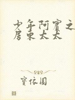 少年阿宾之美艳房东太太