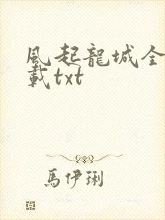 风起龙城全本下载txt