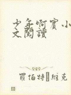 少年啊宾小说全文阅读