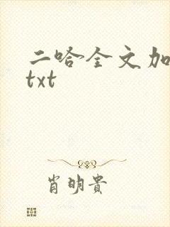 二哈全文加番外txt