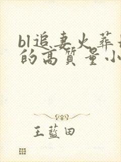 bl追妻火葬场的高质量小说封面