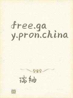 free.gay.pron.china封面