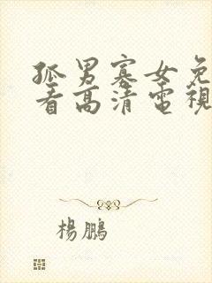 孤男寡女免费观看高清电视剧狂飙中