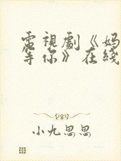 电视剧《妈妈在等你》在线观看