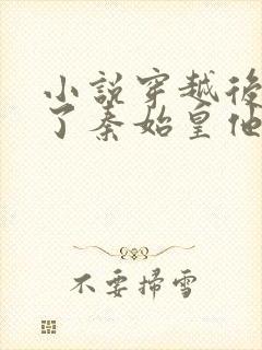 小说穿越后我成了秦始皇他妈免费阅读封面